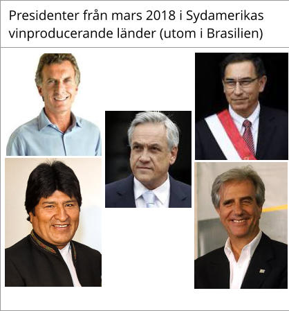 Presidenter från mars 2018 i Sydamerikas    vinproducerande länder (utom i Brasilien)